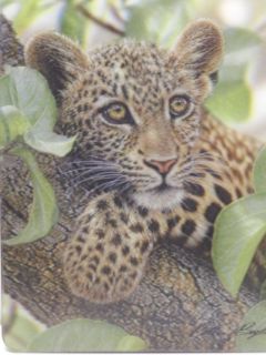 Obrázek z Magnet 3D 7x9cm - leopard (25) 